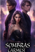 Portada del libro "Sombras Carmes&iacute; "