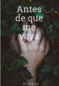 Portada del libro "Antes de que me vaya "