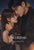 Portada del libro "En La Oscuridad Te Encontre"