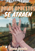 Portada del libro "☆polos Opuestos Se Atraen☆"