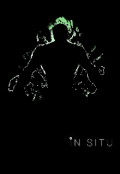 Portada del libro "in Situ"