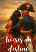Portada del libro "T&uacute;  eres mi destino."