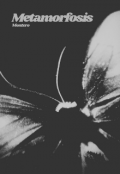 Portada del libro "Poemario: Metamorfosis"