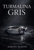 Portada del libro "Turmalina Gris "