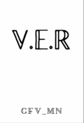 Portada del libro "V.E.R"