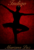 Portada del libro "Indigo "
