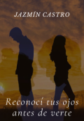 Portada del libro "Reconoc&iacute; tus ojos antes de verte"