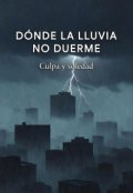 Portada del libro "D&oacute;nde la lluvia no duerme"