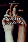 Portada del libro "Pretexto Perfecto "
