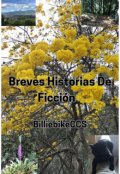 Portada del libro "Breves Historias De Ficci&oacute;n "