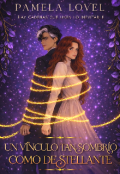 Portada del libro "Un V&iacute;nculo tan Sombr&iacute;o como Destellante"