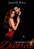 Portada del libro "Despu&eacute;s del divorcio. "