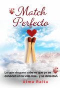 Portada del libro "Match Perfecto"