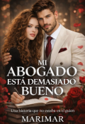 Portada del libro "Mi abogado est&aacute; demasiado bueno "