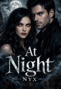 Portada del libro "At Night Nyx"