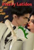 Portada del libro "Pixel Y Latidos "