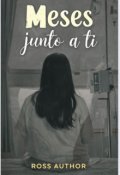 Portada del libro "Meses Junto a ti "