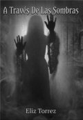 Portada del libro "A Trav&eacute;s De Las Sombras "