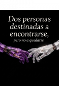 Portada del libro "Dos Personas Destinadas A Encontrarse, Pero No A Quedarse. "