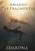 Portada del libro "Amando Tus Framentos"