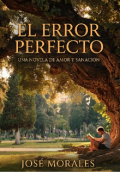 Portada del libro "El error perfecto"