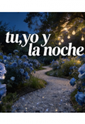 Portada del libro "Tu,yo y la noche "