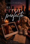 Portada del libro "El Error Perfecto"