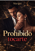 Portada del libro "Prohibido tocarte"