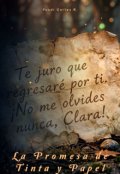 Portada del libro "La Promesa de Tinta y Papel"