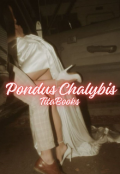 Portada del libro "Pondus Chalybis"