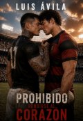 Portada del libro "Prohibido rendirse al coraz&oacute;n"