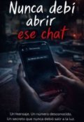 Portada del libro "Nunca deb&iacute; abrir ese chat"
