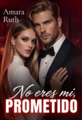 Portada del libro "No eres mi, prometido"