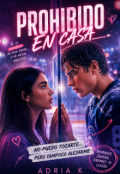 Portada del libro "Prohibido en casa "