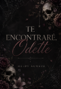 Portada del libro "Te encontrar&eacute;, Odette "