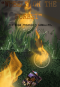 Portada del libro "Wheels On The Forest"