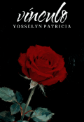 Portada del libro "v&iacute;nculo"