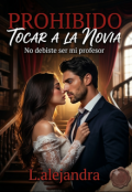 Portada del libro "Prohibido Tocar a la Novia: No Debiste Ser Mi Profesor"