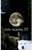 Portada del libro "Los tres son mis Mates??"