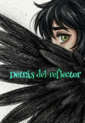 Portada del libro "Detr&aacute;s del reflector "