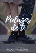 Portada del libro "Pedazos de ti "