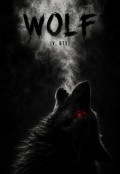 Portada del libro "Wolf | V, Bts (reescrita)"