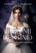 Portada del libro "Eres mi Destino"