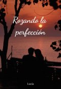 Portada del libro "Rozando la perfecci&oacute;n"