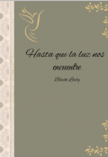 Portada del libro "Hasta que la luz nos encuentre "