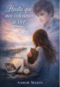 Portada del libro "Hasta que nos volvamos a ver"