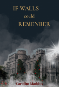Portada del libro "If Walls Could Remenber"
