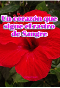 Portada del libro "Un coraz&oacute;n que sigue el rastro de sangre"