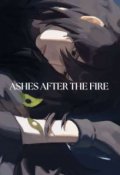 Portada del libro "Ashes after the Fire"