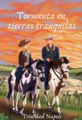 Portada del libro "Tormenta en tierras tranquilas"